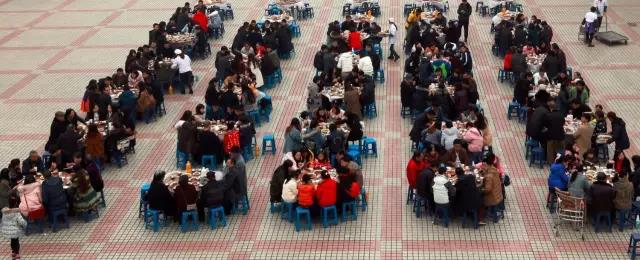 1487038530544899.jpg 14.jpg