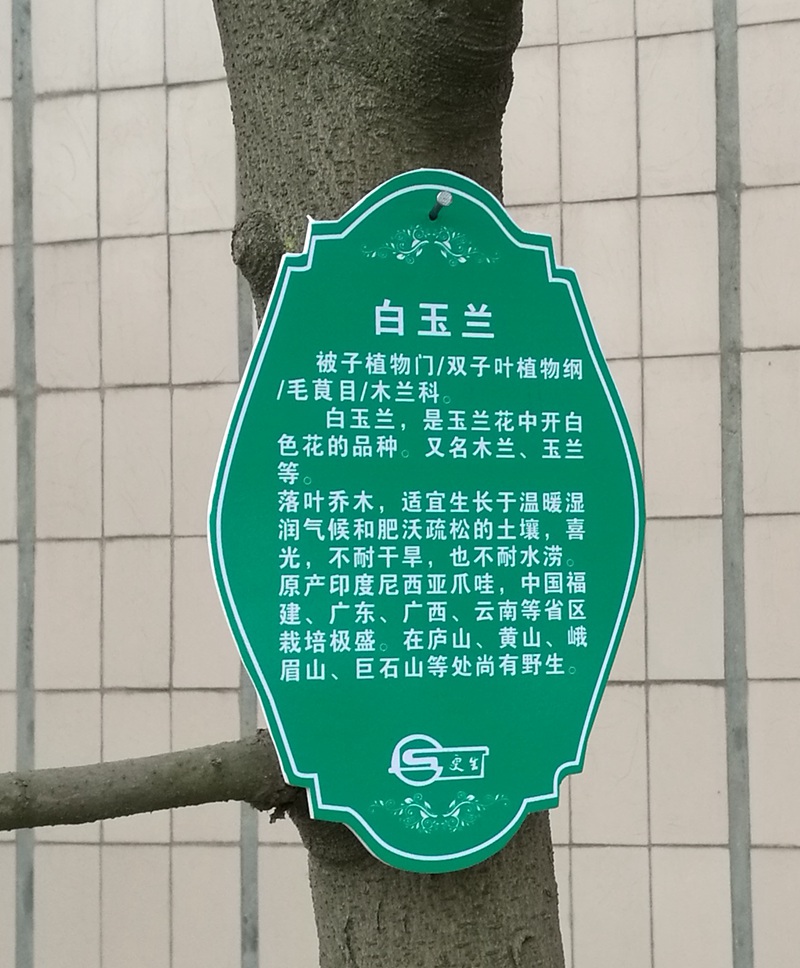 1489547645700646.jpg 02.jpg