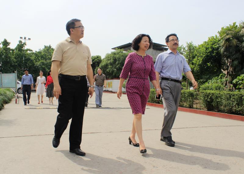 1494982559850301.jpg 02.jpg