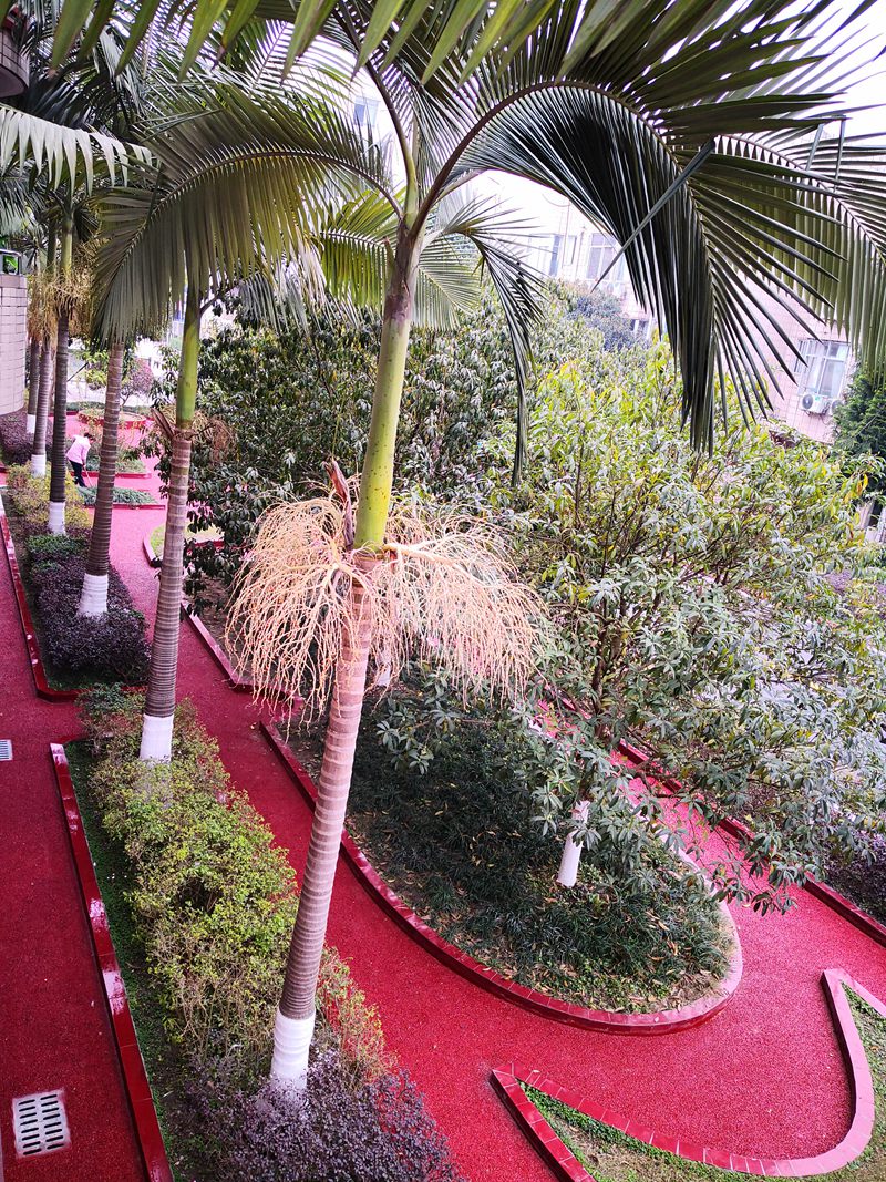 1551775562737290.jpg 11.jpg