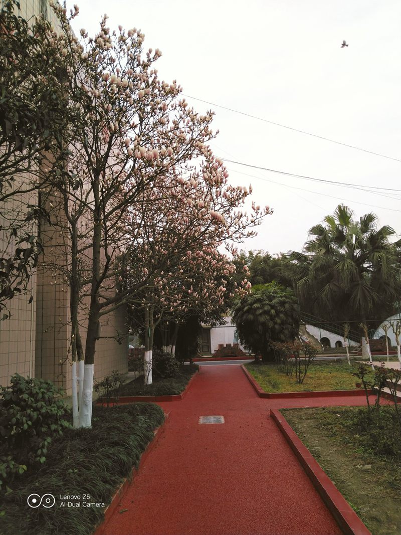 1551776105124946.jpg 7.jpg